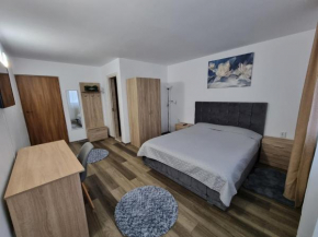 Vila Roxana Busteni Buşteni